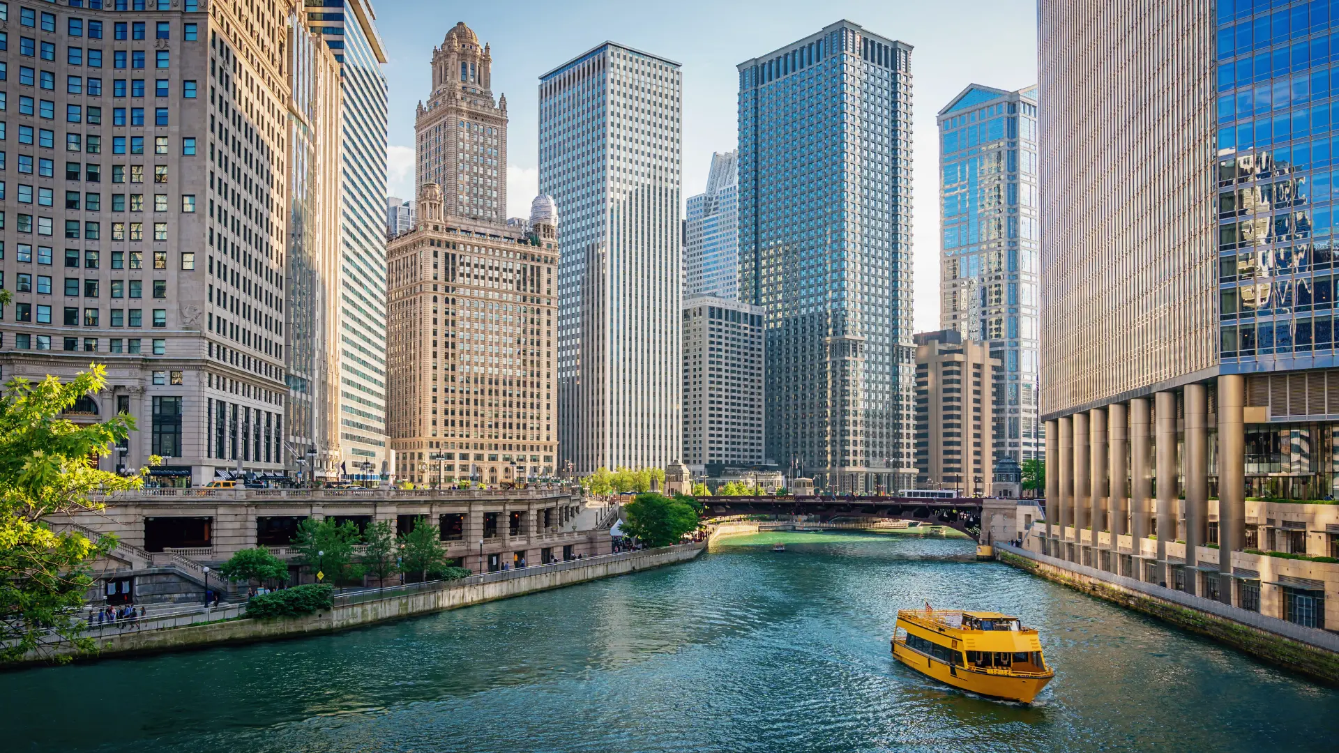 SEO Services Chicago
