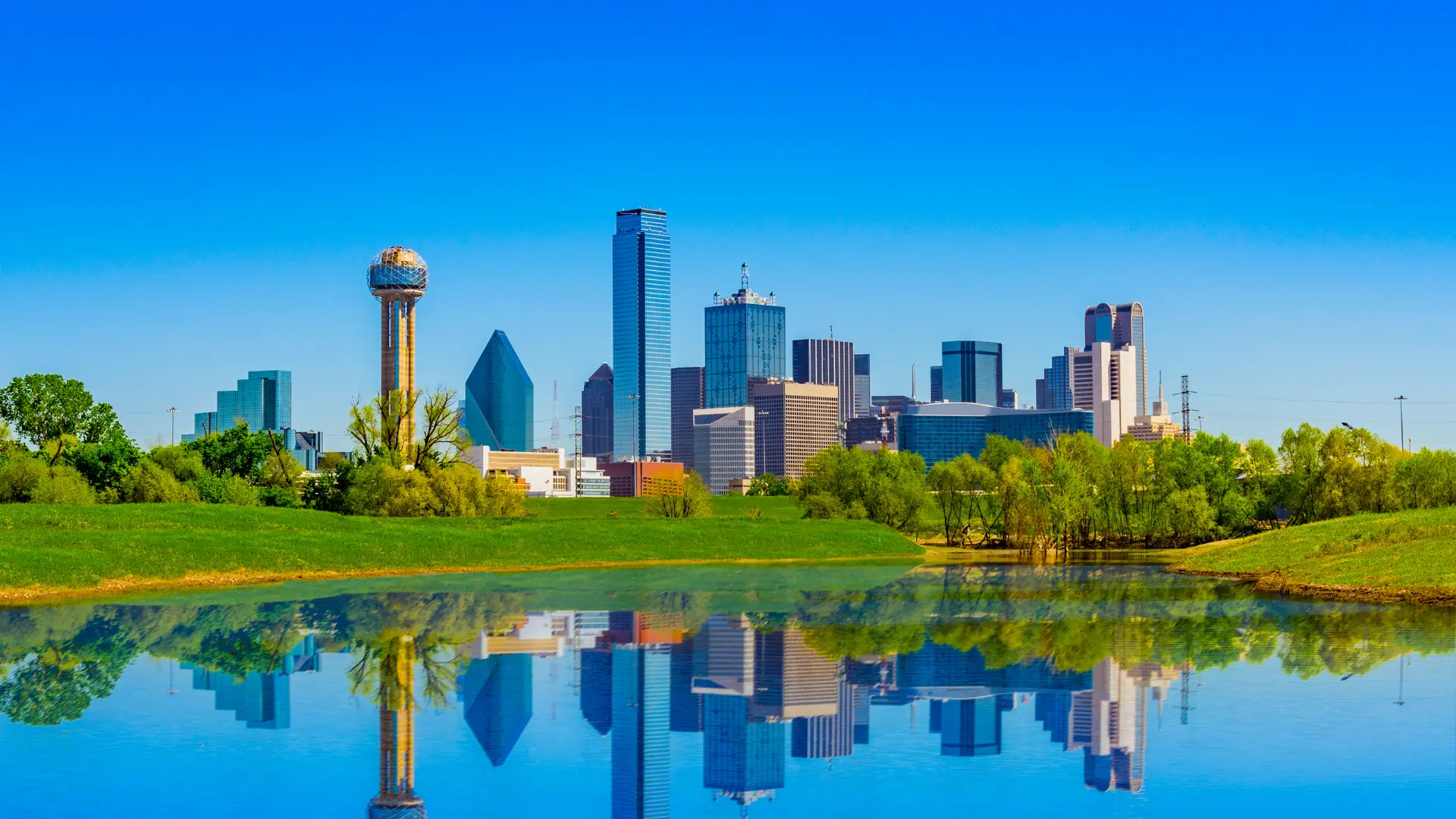 PPC Services Dallas