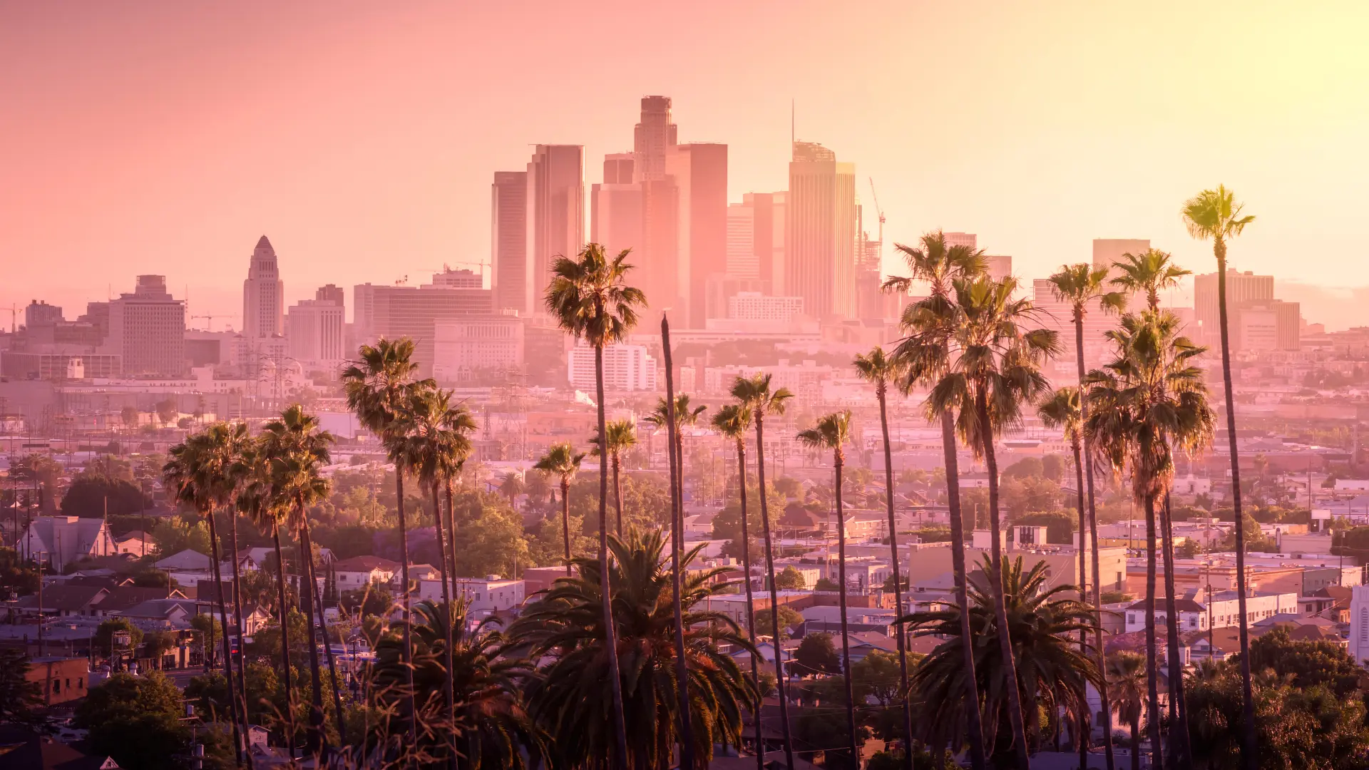 PPC Services Los Angeles