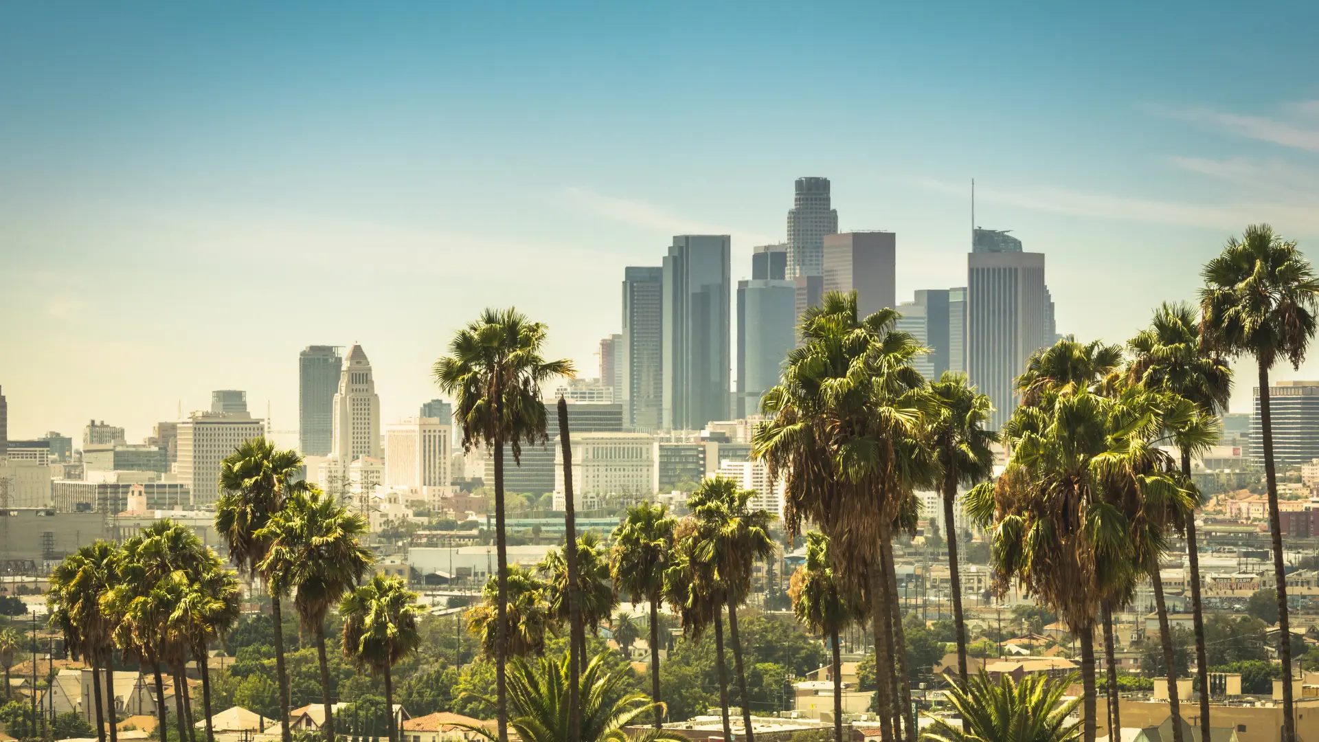 SEO Services Los Angeles