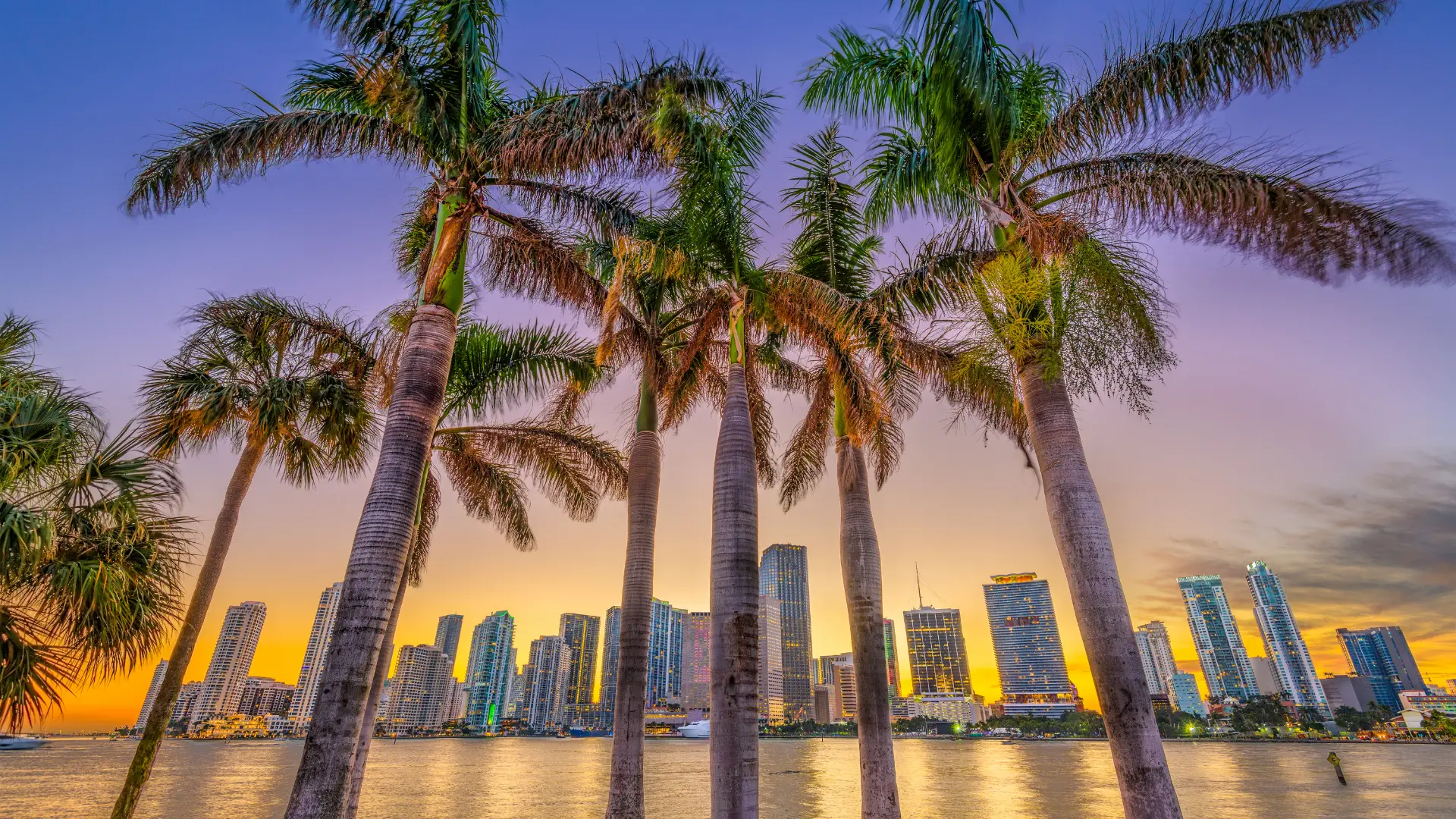 PPC Services Miami