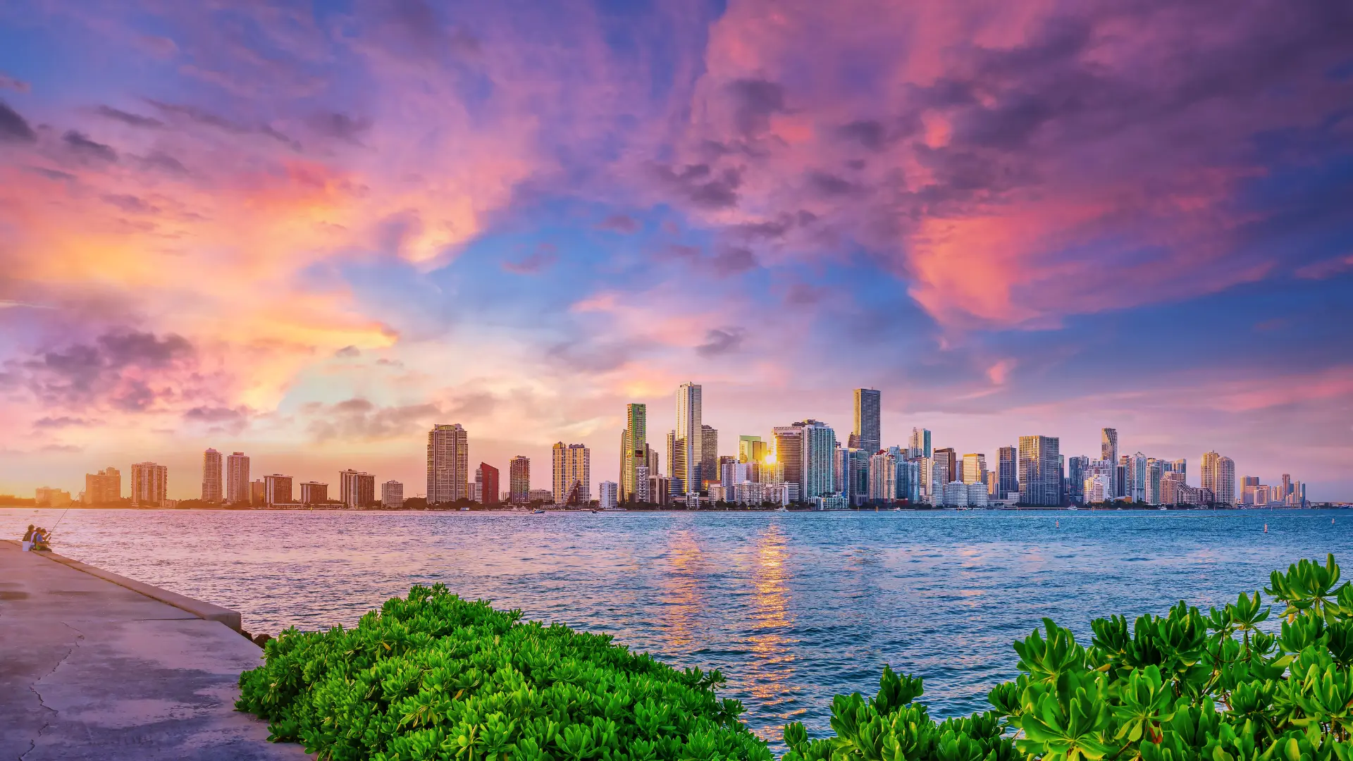 SEO Services Miami