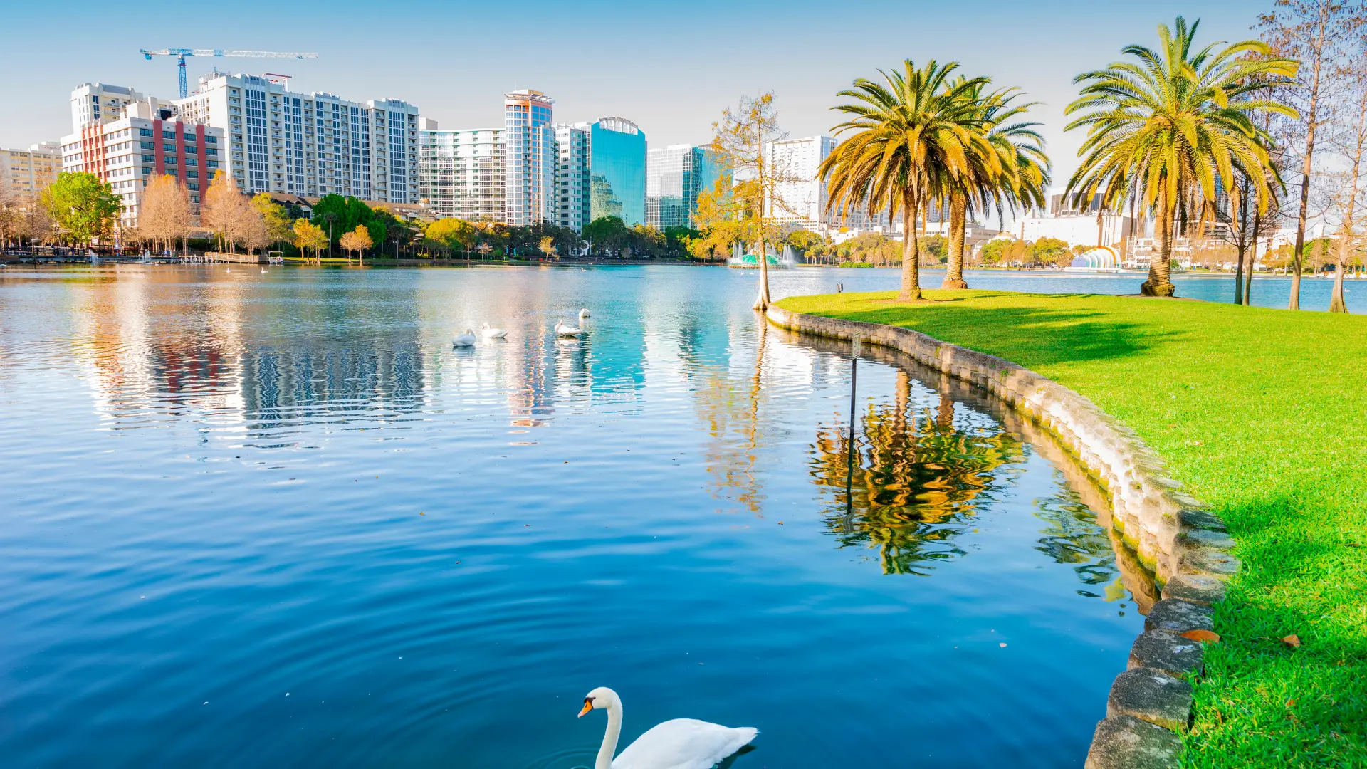 Digital Marketing Orlando