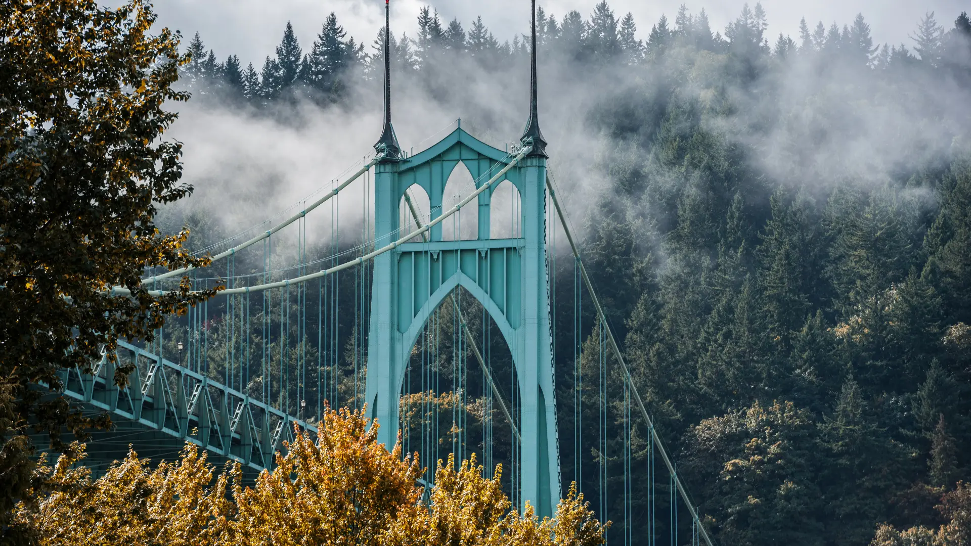 Digital Marketing Portland