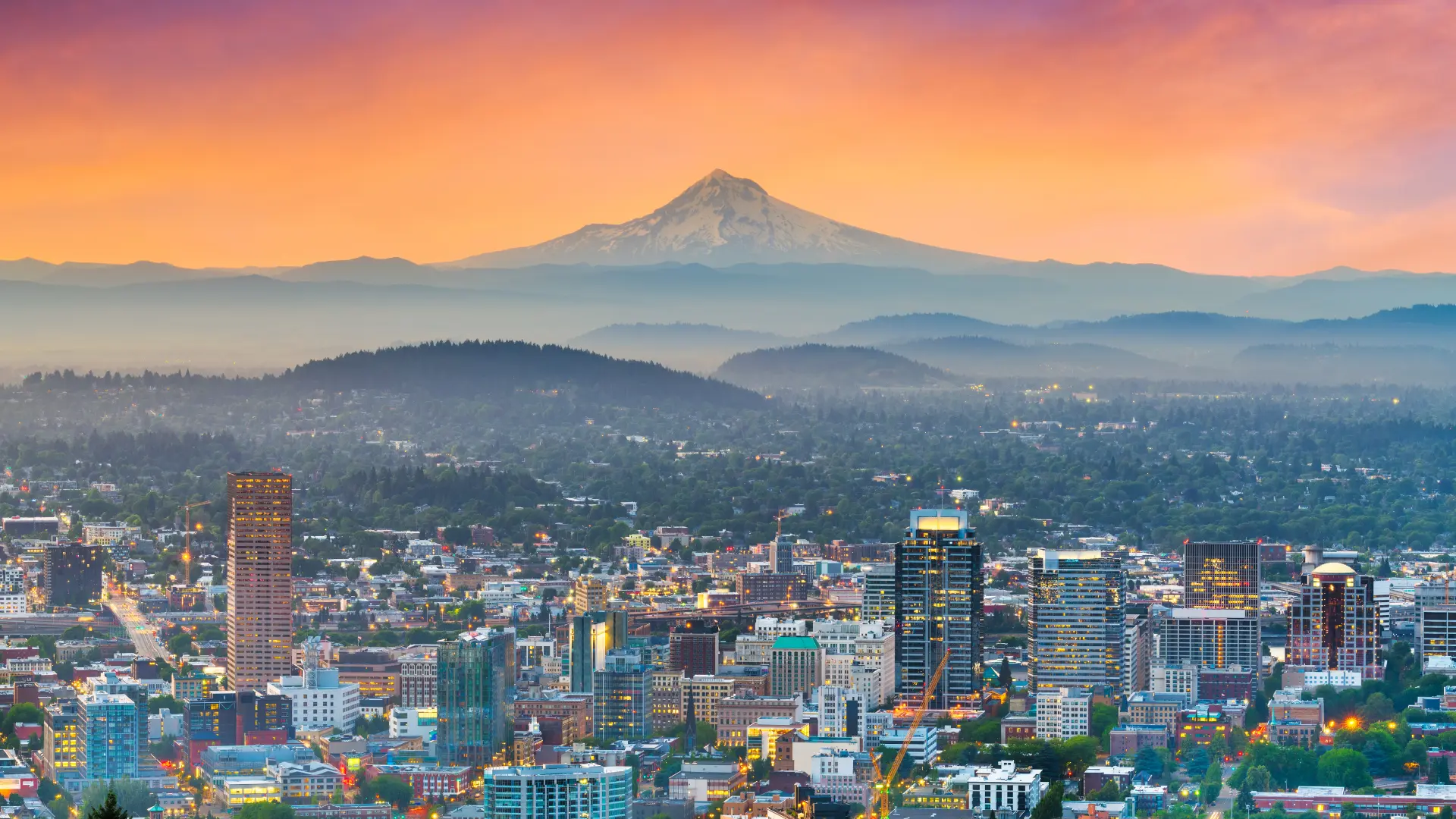 SEO Services Portland