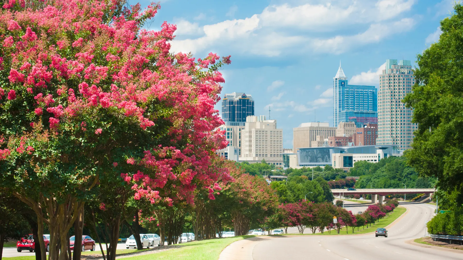 Digital Marketing Raleigh