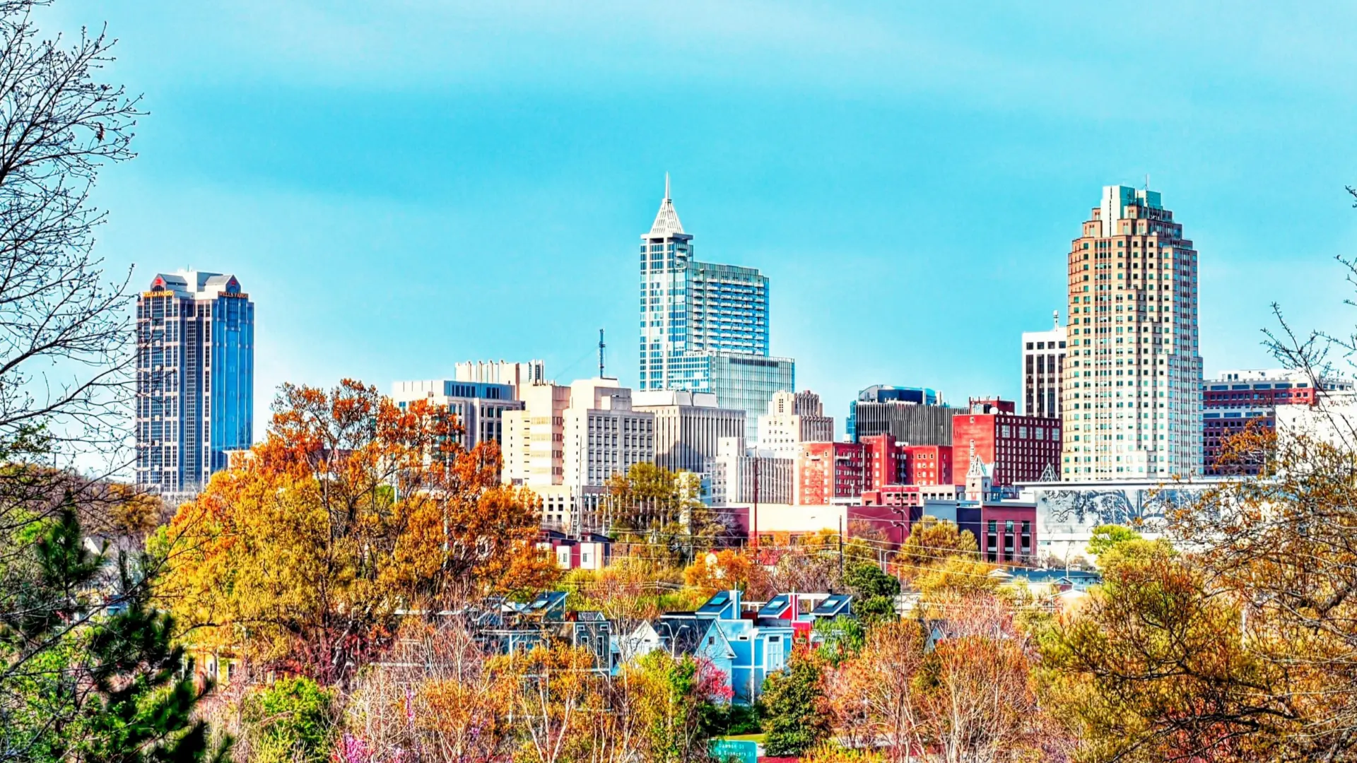 PPC Services Raleigh