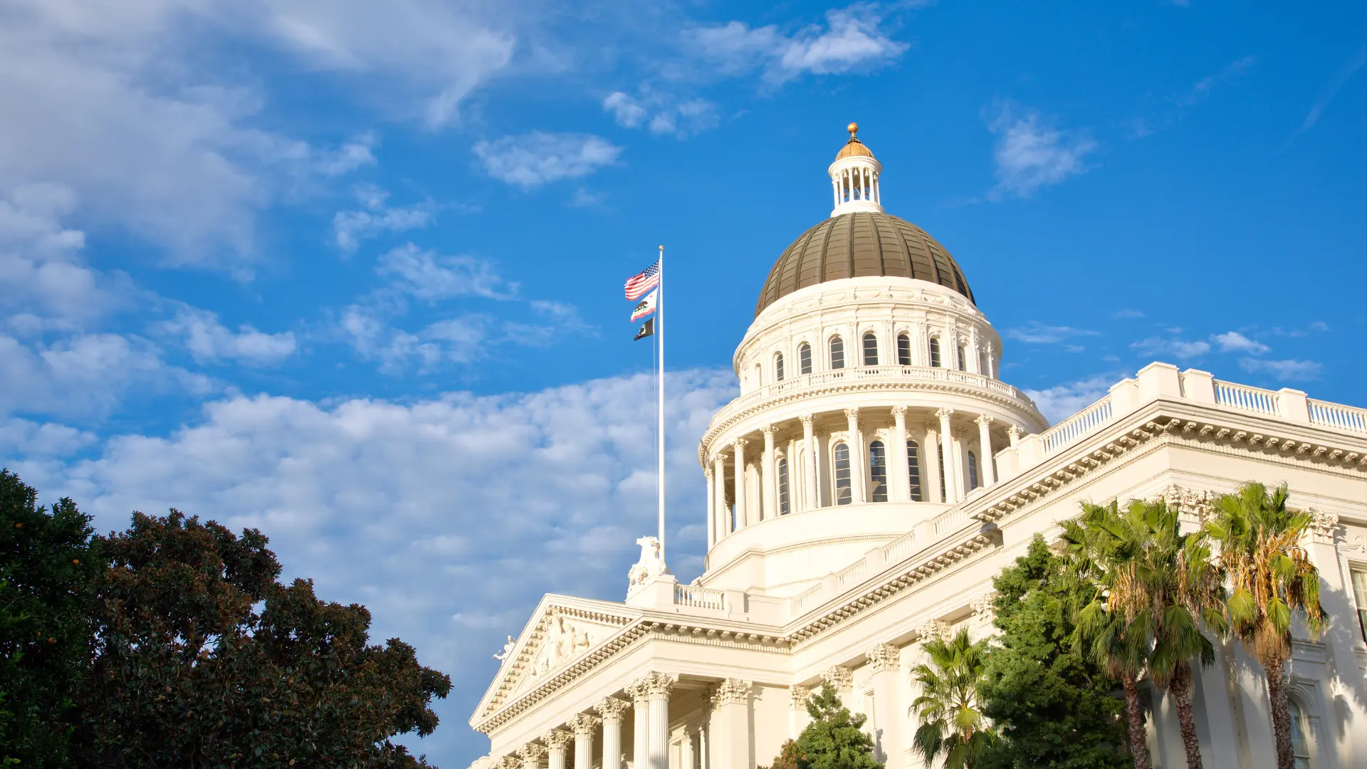SEO Services Sacramento