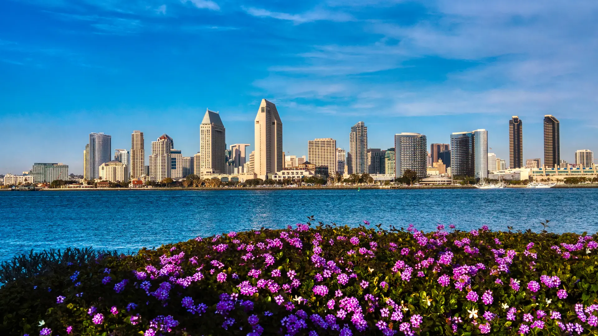 Digital Marketing San Diego