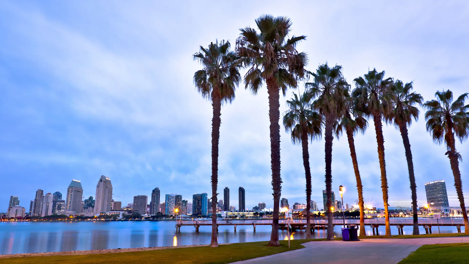 PPC Services San Diego